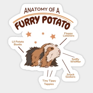 Anatomy Of A Furry Potato Guinea Pig Lover Sticker